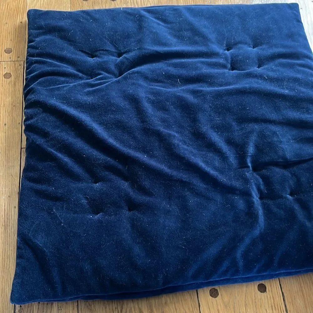 Pottery Barn Blue Euro Pillow Sham